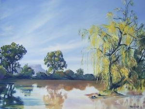 "The Dam on Ferndale"