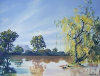 "The Dam on Ferndale"