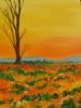 "Namaqualand Sunset"