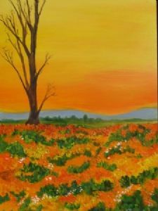 "Namaqualand Sunset"