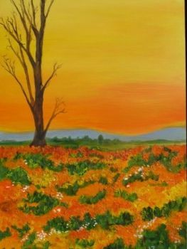 "Namaqualand Sunset"