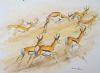 "Springbuck Running"