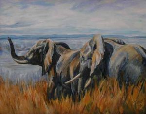 "Kariba Elephants"