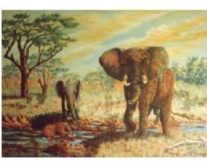 "Elephant mud bath"