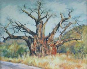 "Kariba Baobab"