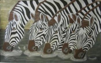 "Zebras drinking water"