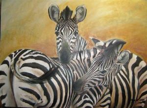 "Two Zebra's"