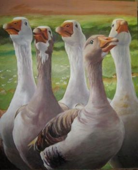 "Geese 5"