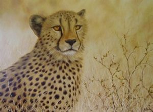 "Leopard"