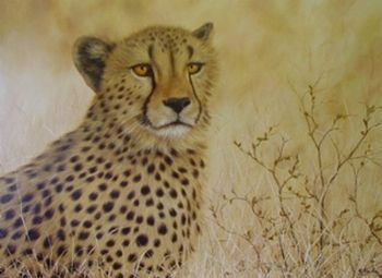 "Leopard"
