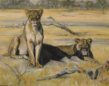 "Lionesses Keeping Watchful Eye"