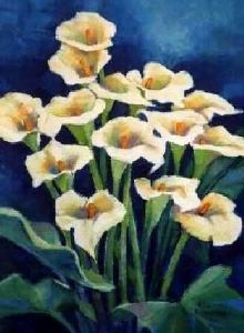 "Arym Lily"