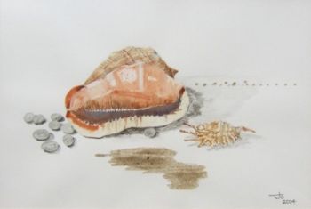 "Shells I"