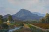 "Cape Vineyards (Stellenbosch)"
