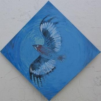 "Jackal Buzzard"