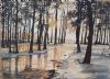 "Tree Reflections"
