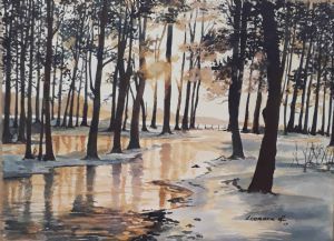 "Tree Reflections"