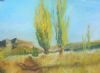 "Clarens Poplars"