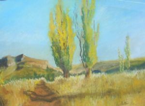"Clarens Poplars"