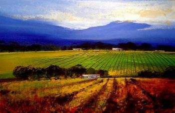 "Western Cape Farm 2"