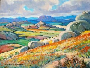 "Flower Fields near Springbok"