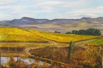 "Vineyards Elim 1"