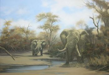 "Great Tusker - Tsumane - Kruger Park"