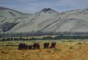 "Elephants in the Masai"