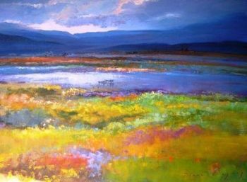 "Carpet of Color, Namaqualand"