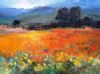 "Skilpad, Namaqualand"
