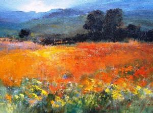 "Skilpad, Namaqualand"
