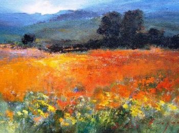 "Skilpad, Namaqualand"