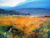 "Skilpad, Namaqualand 2"