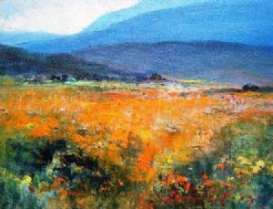 "Skilpad, Namaqualand 2"