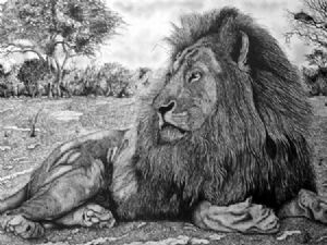 "The King"