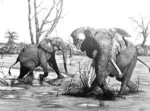 "Mandleve at the Waterhole"