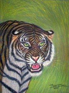 "Tiger"