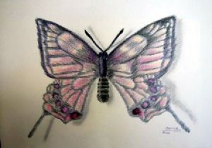 "Butterfly"