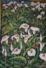 "Arum Lily Meadow"