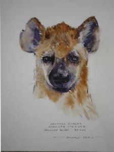 "Illustration Spotted Hyaena 2"