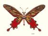 "Glitterfly 8"