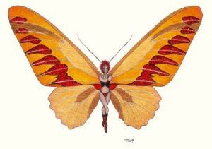 "Glitterfly15"
