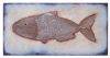 "Fish 1"