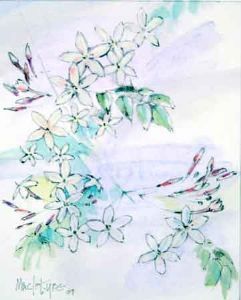 "Jasmine"