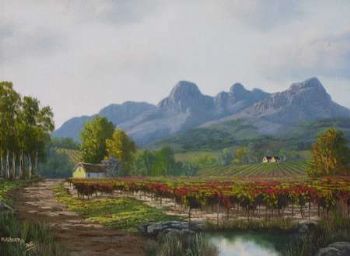 "Boland Vineyards"