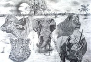 "Big Five of Africa"