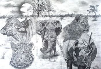 "Big Five of Africa"