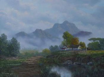 "Misty Vineyards"
