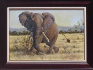 "Elephant"