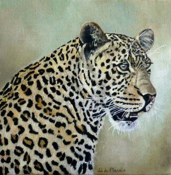 "Leopard portrait #2"